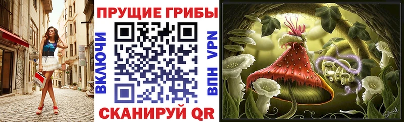 купить   Ленинск-Кузнецкий  Псилоцибиновые грибы ЛСД 